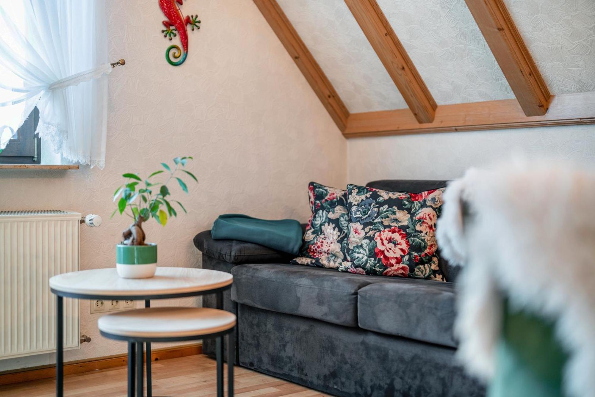 Gaestehaus Absbachtal Bad Rippoldsau-Schapbach ภายนอก รูปภาพ